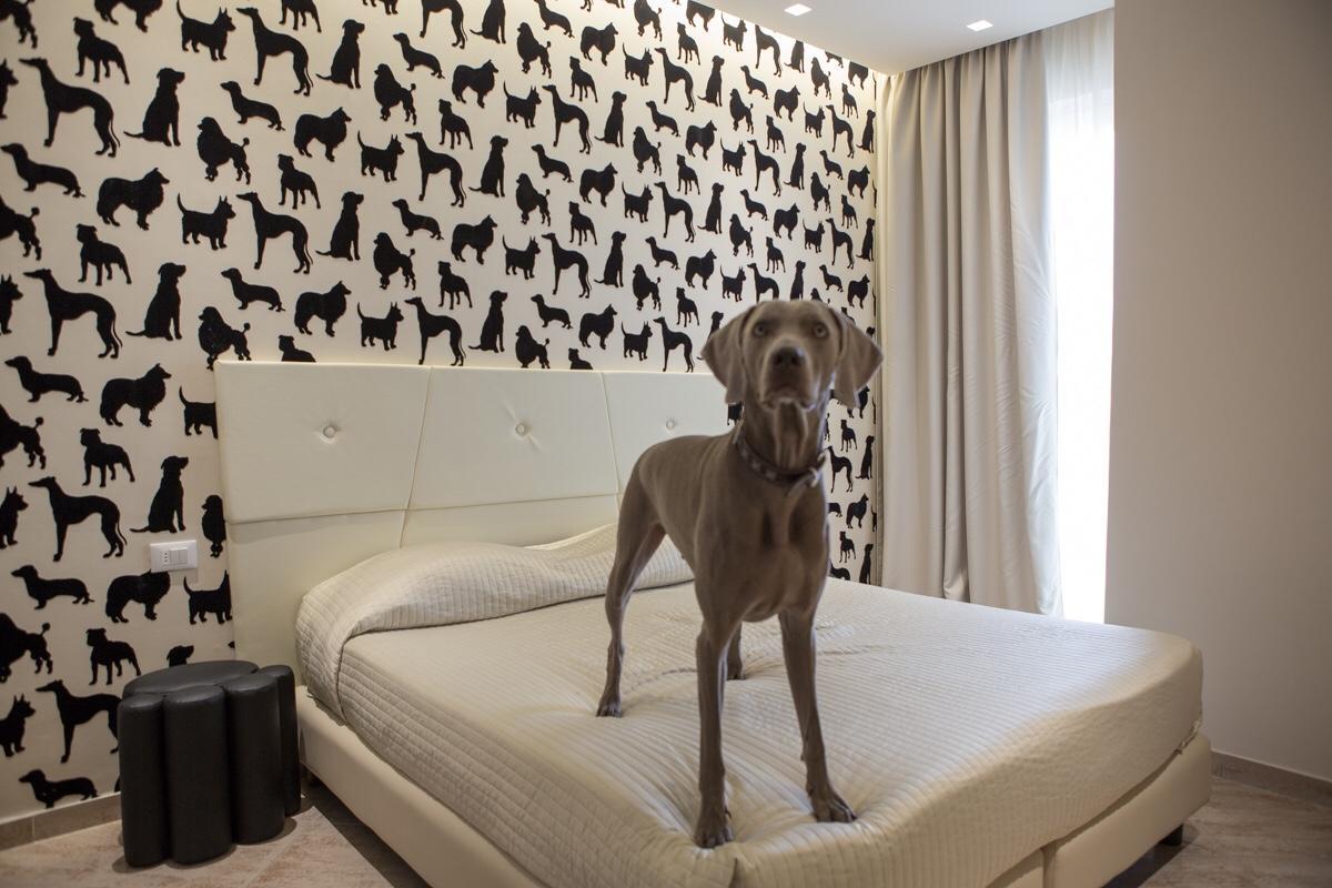 Hotel Principe ريميني المظهر الخارجي الصورة